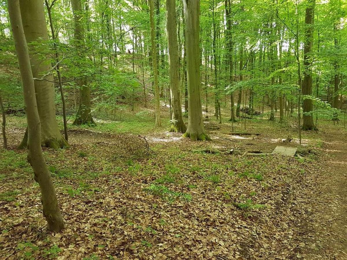 Ferienwohnung Feriendomizil Bergamini Bischoffingen Exterior foto